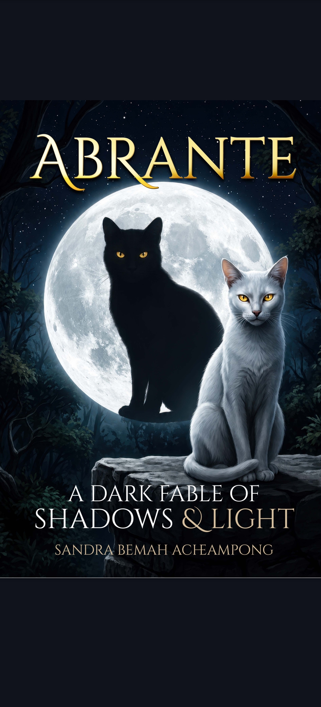 Abrante A Dark Fable of Shadows and Light